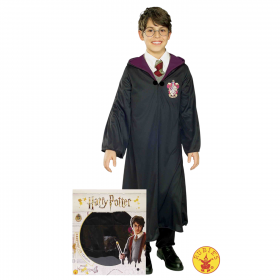 Disfraz Harry Potter en caja
