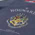 Sudadera Harry Potter Hogwarts niño