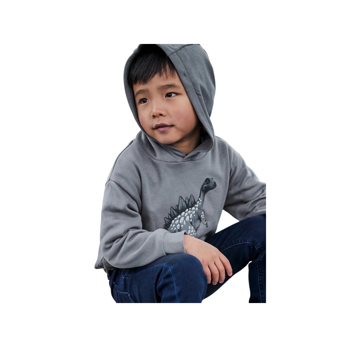 Sudadera gráfica niño DINO color gris Mayoral