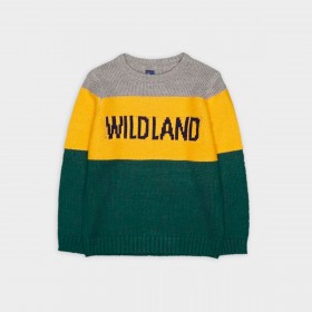 Suéter de malha Wildland